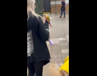 Lady walks parrot and dog in station