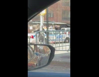 Collab WINY - Guy dances on sidewalk while walking dog 