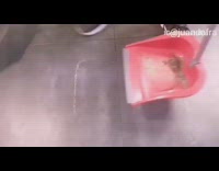 Guy broom red dustpan dirt line outside 