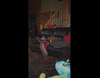 Small white dog with winter aviator fur trapper hat walks to owner on the couch