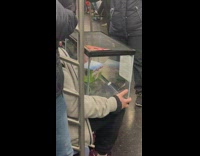 Guy sitting down on subway train with a hamster cage in his lap 
