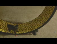 Small kitten running on giant hamster wheel