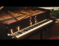 Guy programs computer to play by itself 