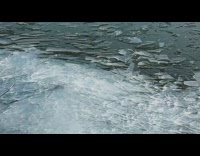 Ice sheets pile up on lake shore