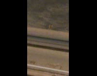 Guy films rats on tracks taking receipts 