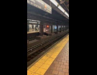 Collab Subway Creatures - Two trains at same subway station line