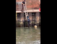 Man rescued climbs up from East River