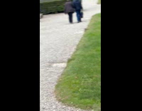 Group tiktok dance front of the palace