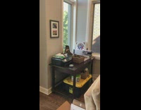Cat hitting hammer on table with paw 