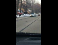 Wild turkey chases little boy down the street, car intercepts and blocks the turkey