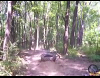 Grey Wifebeater Guy On Bicycle Jumps Tire Crashes Into Tree