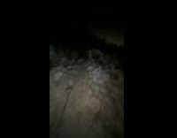 Guy slides down Icy trail in the dark 