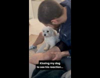 White dog kiss back dad with love