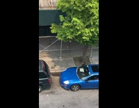 4 guys play golf on sidewalk 