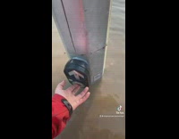 Guy waiting in flooded street for crosswalk light
