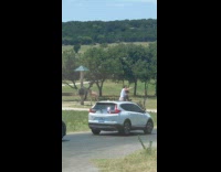 Mother and kid selfie car roof  giraffe