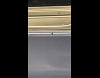 Cockroach crawls on the seat inside train