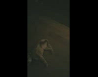 Guy finger gun brown dog lays down