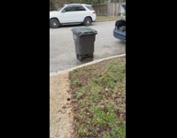 Guy messing with random dog as he details car 