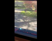 Pink shorts guy runs into chain driveway 