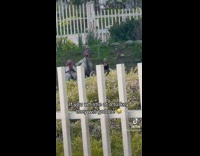 Three turkeys gobble after woman whistles 