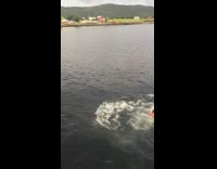 Green shoes guy front flip ocean water