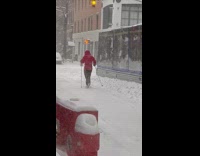Person in red snow jacket cross country skiing on snow covered road 
