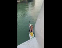 Pink bikini girl selfie white paddle board 