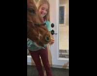 Girl tickle the nose of brown horse