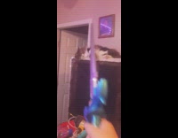 Cat plays with toy sword