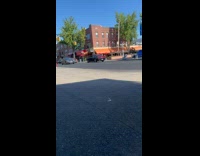 Collab WINY - Car play loud music and cow sound