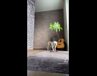 Girls pretend to forget dog no reaction 