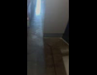 Little girl stops running and looks at her dad