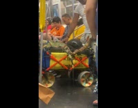 Collab Subway Creatures - Iguana lizard and snake on wagon rides train