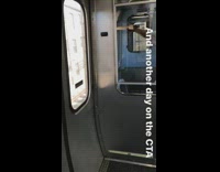 Lady grabs stuck pigeon bird train doors 