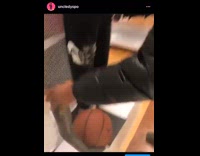 Guy pulls mannequin arm off basketball store 