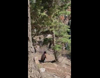 Dog corgi photo shoot owner water falls