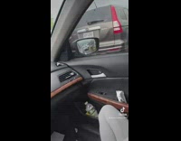 Seagulls take fries from sunroof