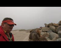 Man Teaches Squirrels to Kiss then Rewards Them