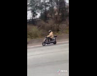 NYPD car follows guy on scooter freeway 