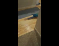 Girl following bird gets scared when it runs towards her