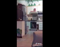 My boo dog kitchen reflection oven