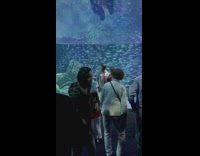 Little girl takes picture of her parents by the aquarium