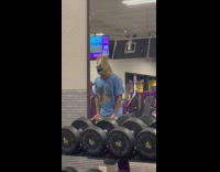 Guy wearing horse mask lifts weights 