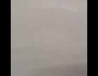 Guy kicks ball flips water bottle park