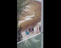 Family in Swimwear Dances besides Windy Beach 