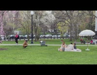 Group picnic park with grapes wine candles