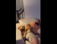 Man and dog wouldnt give up couch spot