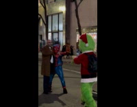 Grinch takes picture of man and spiderman