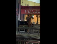 Naked man wearing thongs dancing on street